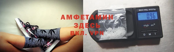 стафф Арсеньев