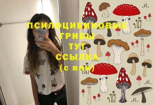 дживик Аркадак