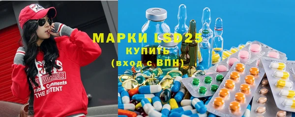 стафф Арсеньев