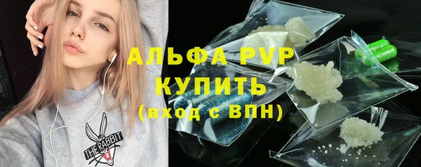 стафф Арсеньев