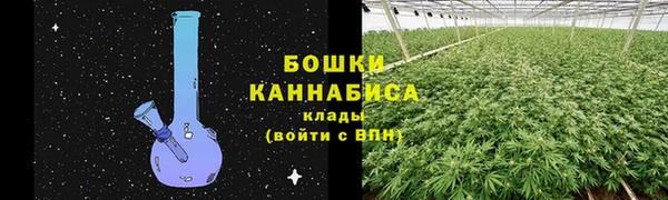 дживик Аркадак