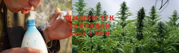 дживик Аркадак