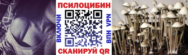 дарк нет Telegram  Правдинск  Псилоцибиновые грибы Psilocybe 